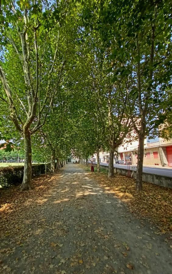 Casa Caty Apartment Pinerolo ภายนอก รูปภาพ